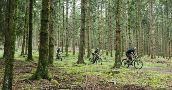 Single vtt marne
